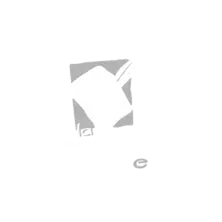 Éditions la nouvelle plume